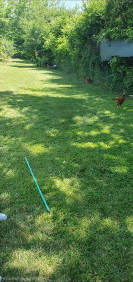 Vand casa in Barcane?ti - 2