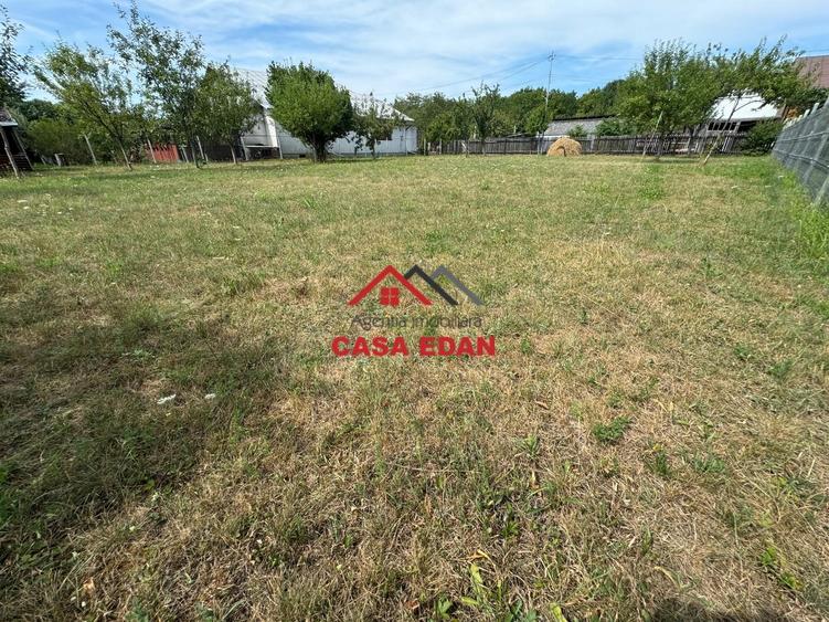 ●Teren in Campina--920mp--28.000e● - 7