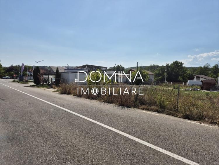 Teren de vanzare in Ursati, pretabil constructii rezidentiale  si comerciale - 5