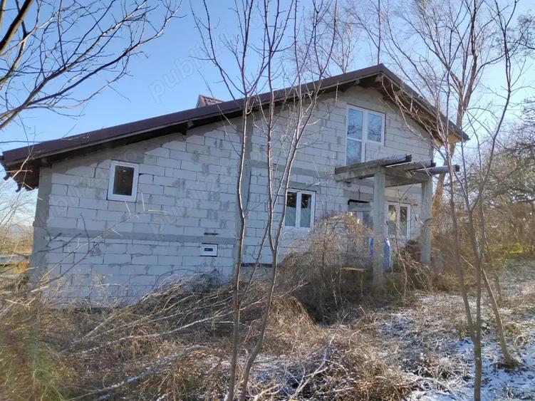 Proprietar vinde casa si teren in Sarata Deal Nou ,Bacau. - 10