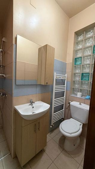 CHIRIE - Centru Vechi Baia Mare-apartament 1 camera - 7