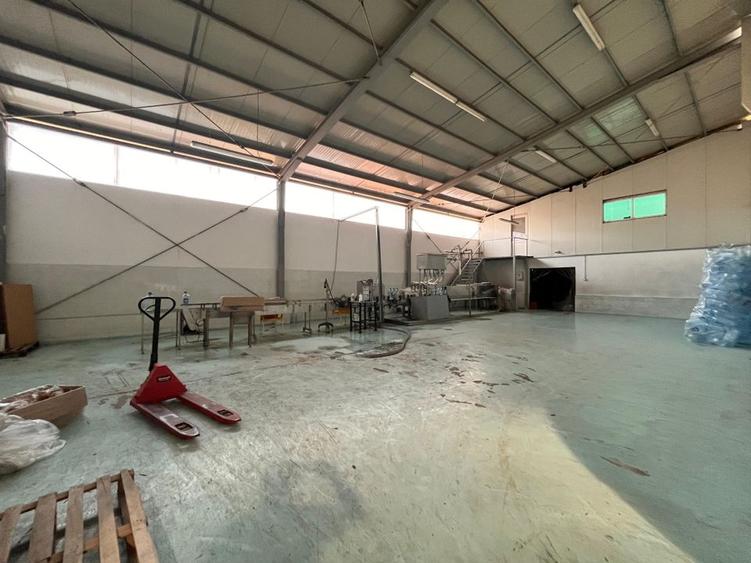 HALA IN ZONA DUMBRAVITA -KAUFLAND LA 6 euro/mp - 4