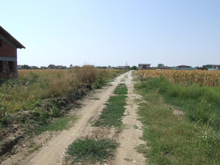 Domnesti-Teghes, teren 9.817 mp strada Pinului - 8