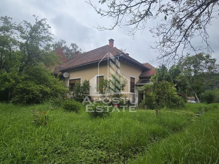 Proprietate cu potential turistic in Gurahont - 1