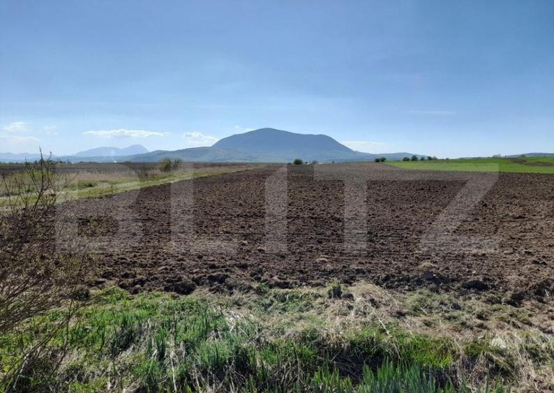 TEREN Extravilan 15000 MP in Zona Codlea - 1