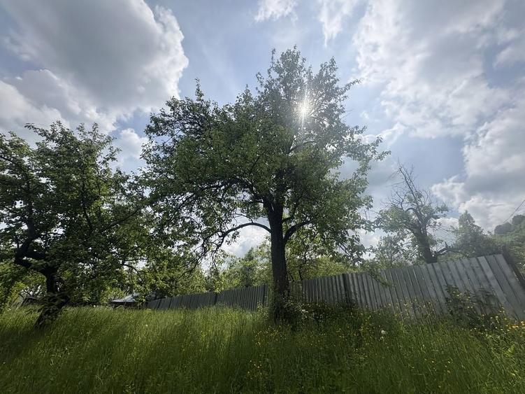 Imobil de vanzare sat Seciuri, Prahova, 3 km distanta de Barajul Paltinu - 1