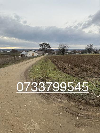 Teren intravilan in Mitocasi - 1