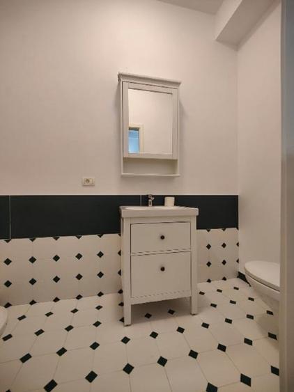Apartament deosebit in Centrul Timisoarei - 6