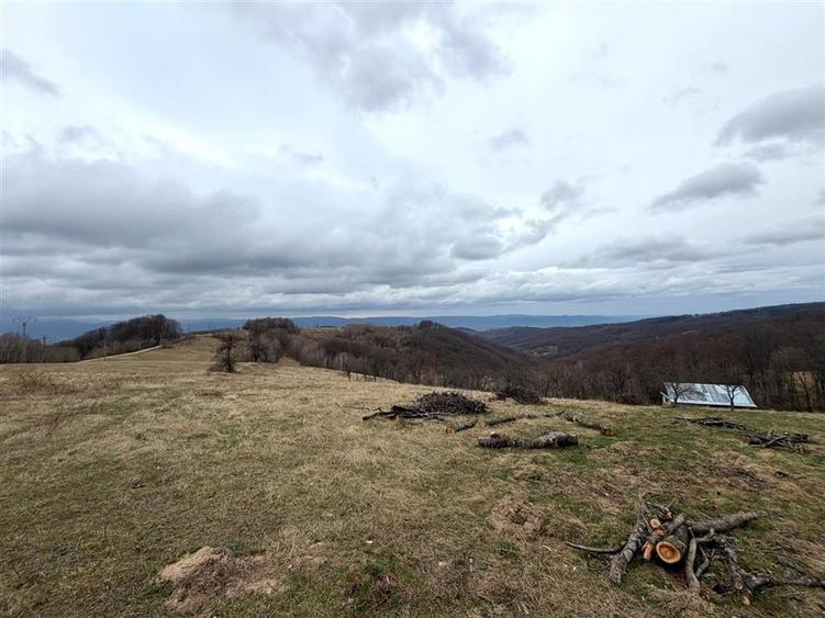 TEREN 34.000 MP | SERANI BIHOR - 5