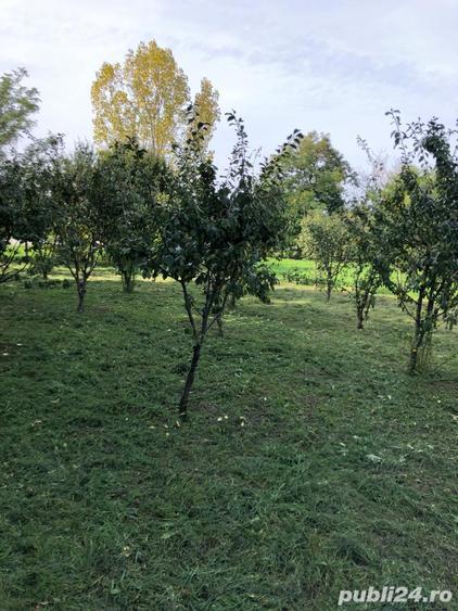 Casa solida din caramida cu 4 camere ?icula Jud. Arad - 10