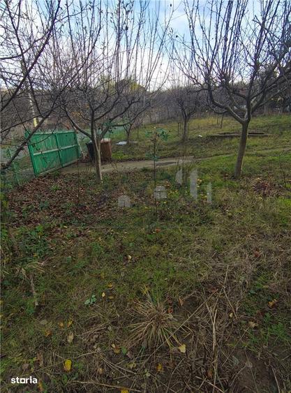 Teren Bucium - Trecatoarea Paun - 10