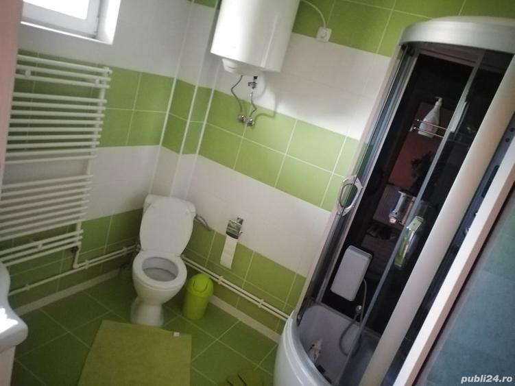 Casa de vanzare P +M, 155000 euro - 7