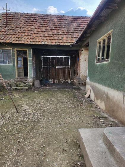 Vand casa Tau?, Arad