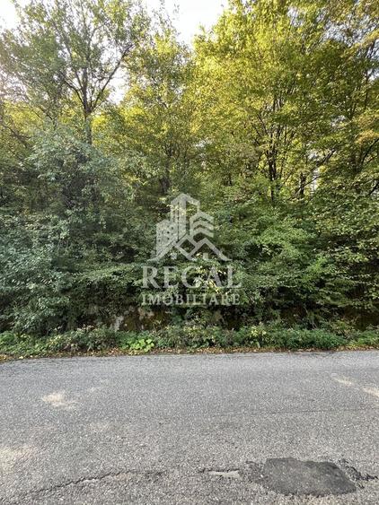 Teren extravilan de vânzare – Lacul Cinciș - 5