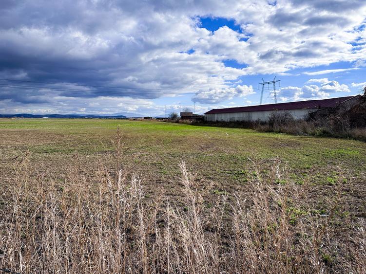 Teren agricol intravilan de 5000 mp, în Hălchiu