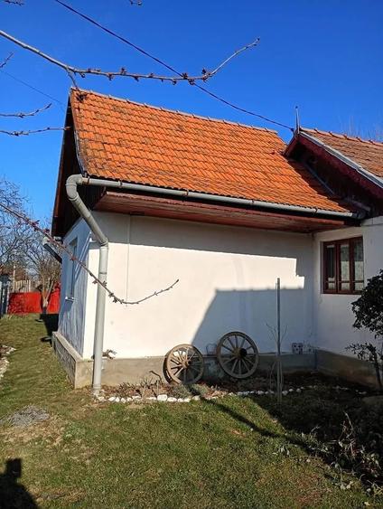 Casă cu 2 camere cu Teren 1800 Mp în Bumbești-Pițic