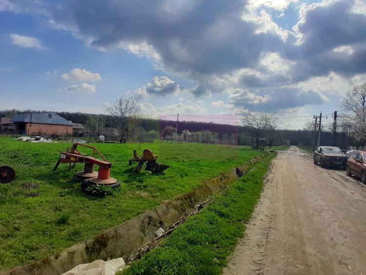 Teren Construcții intravilan de 3400 mp, în Buturugeni