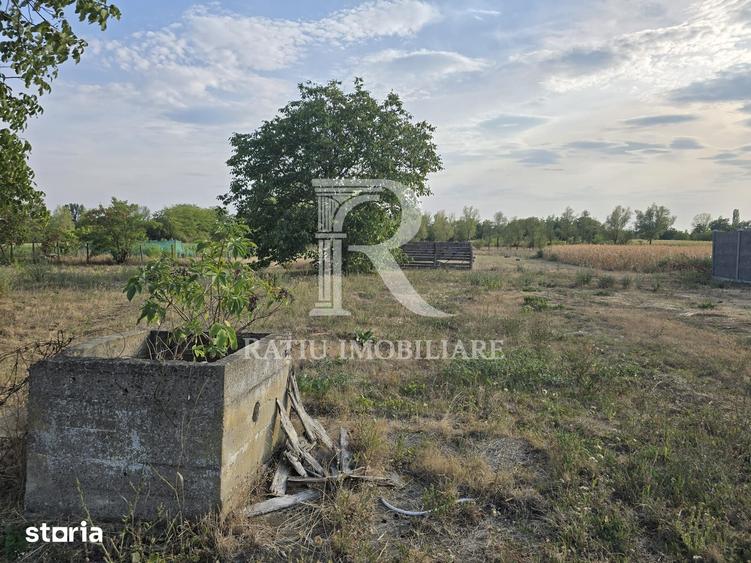 Teren intravilan 6.514mp | 39m front stradal | Ciocaia, Sacuieni - 4