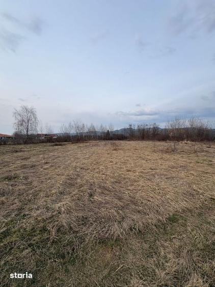 Teren de 10000 mp, în Tăuții-Măgherăuș