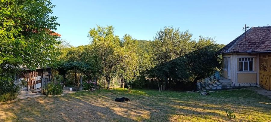 Casă individuală cu 3 camere cu Teren 3500 Mp în Prislop