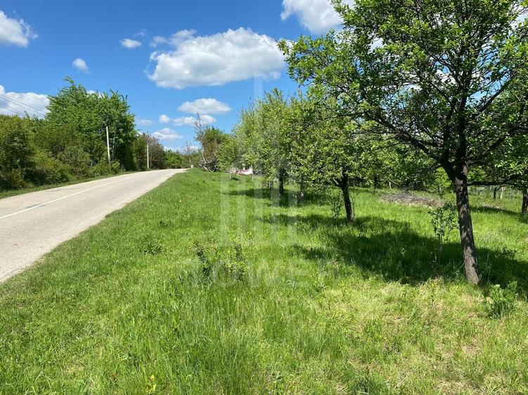 Teren Construcții intravilan de 1000 mp, în Sibiel