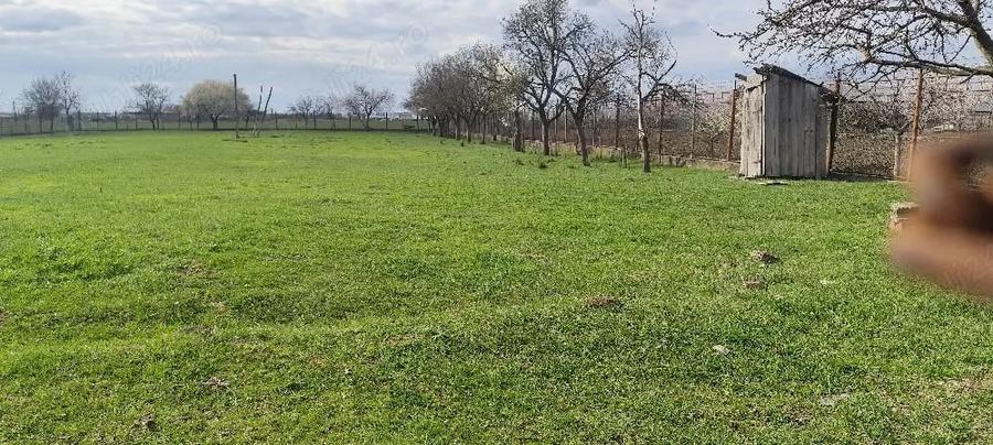 Teren de 2914 mp, în Șiria