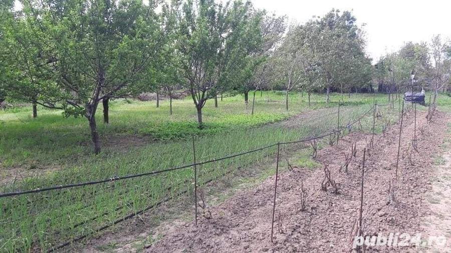 Casă cu 6 camere în Moldoveni