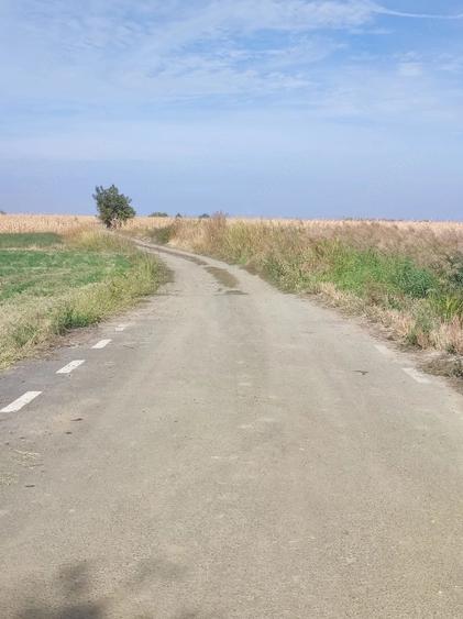 Teren de 6059 mp, în Putna