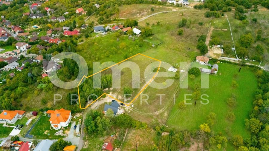 Teren agricol intravilan de 3389 mp, în Tăuții de Sus