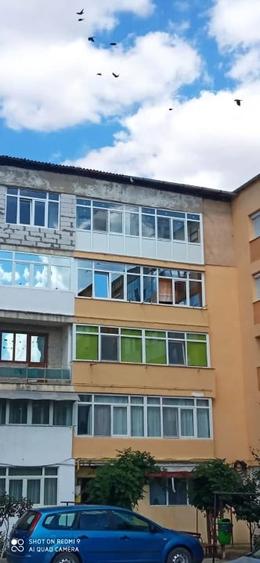 Apartament 4 camere - Bals - 8
