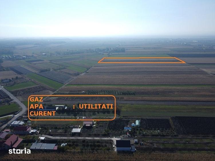 Teren de 27900 mp, în Secu