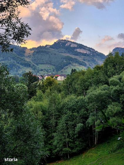 Teren investitie 8635 mp extravilan , Pestera Brasov - 7