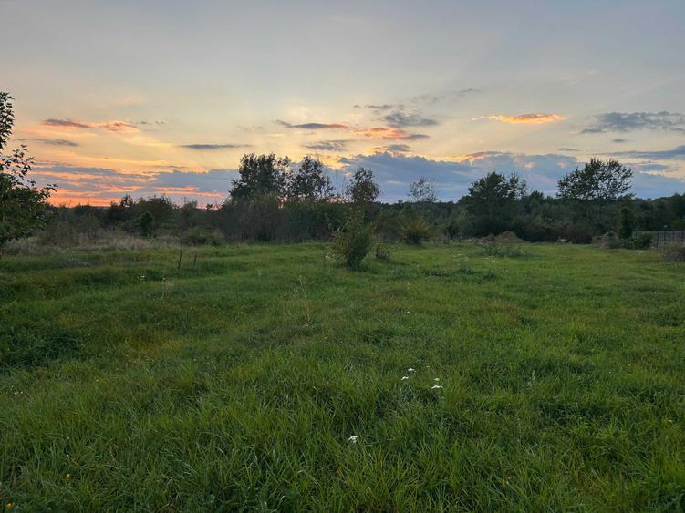 Teren de 2700 mp, în Brănești