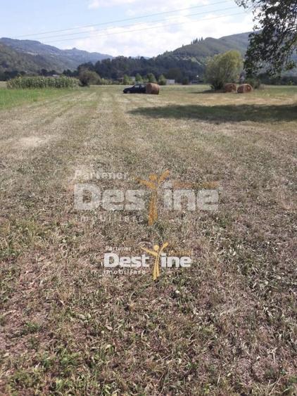 Teren de vanzare Pangarati 58.000 Euro 4488mp Intravilan - 4