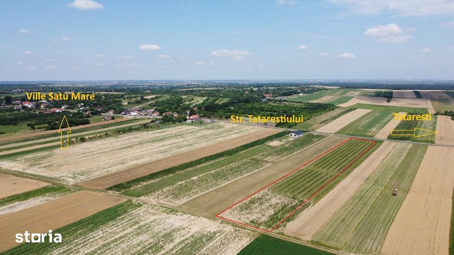 Teren de 7575 mp, în Viile Satu Mare