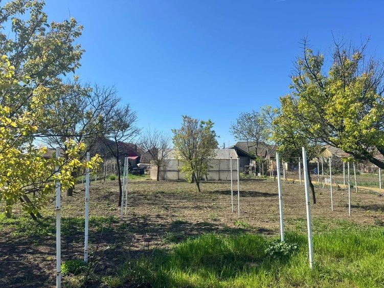 Casă cu 4 camere cu Teren 1536 Mp în Variaș