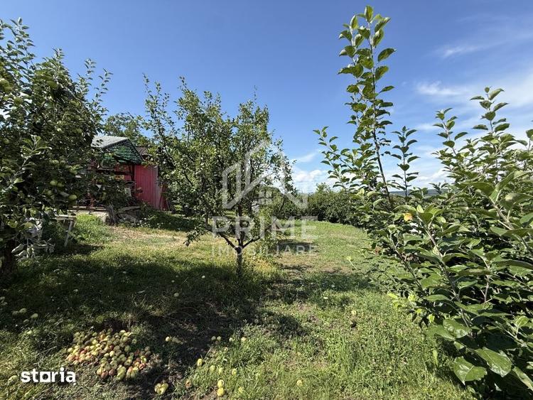 Teren de 852 mp, în Central