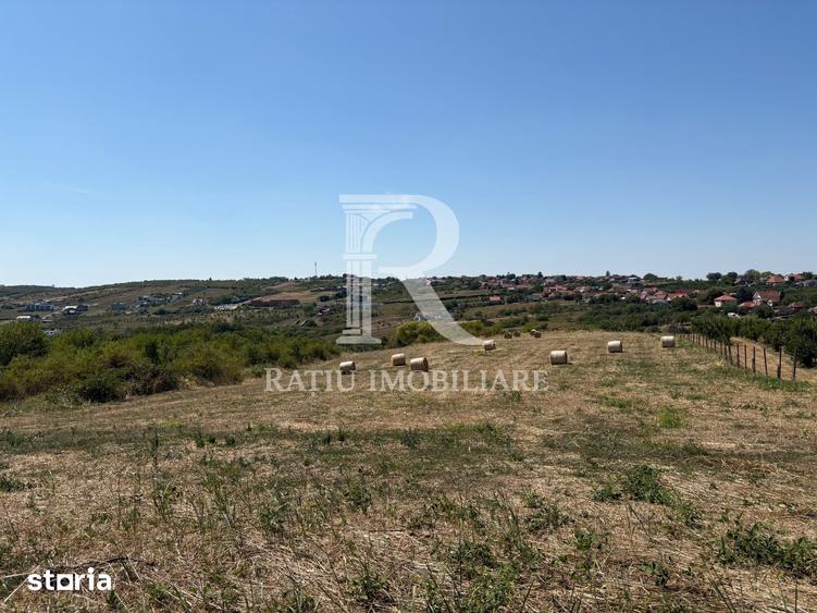Teren de 6355 mp, în Paleu
