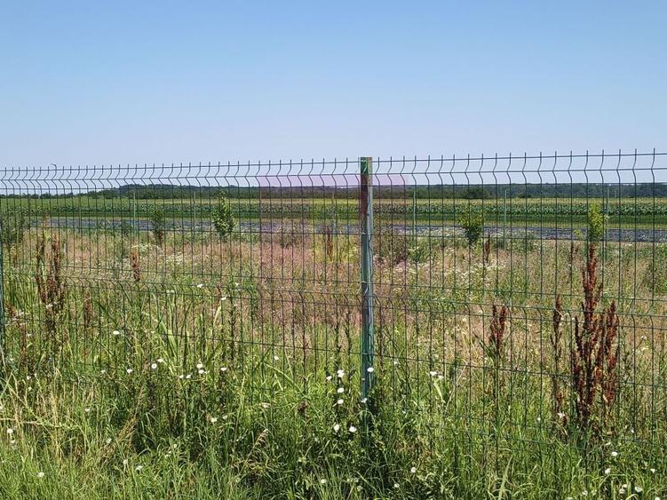 Teren de 582 mp, în Copăceni