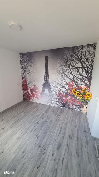 Casă cu 3 camere cu Teren 2157 Mp în Merișani