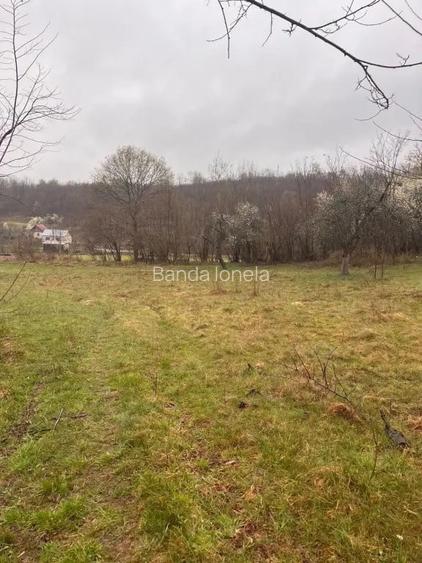 Vand teren in Sintesti, zona lini?tita pretabil pentru cabana