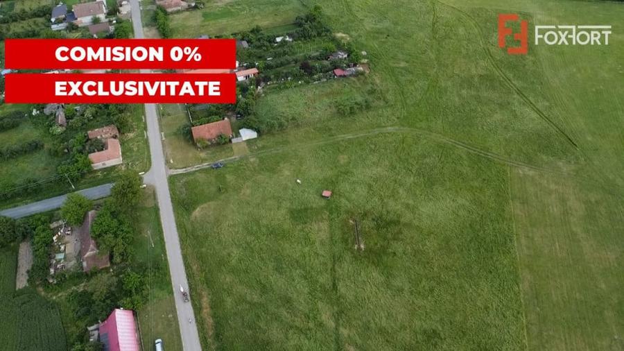 COMISION 0% Teren intravilan 6400 mp la drum asfaltat - Padu - 1