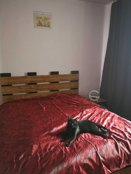 Apartament cu 2 camere semidecomandat în Rogerius