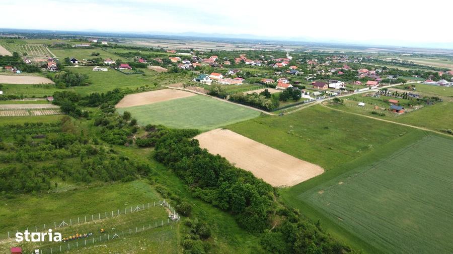 Teren de 2935 mp, în Viile Satu Mare