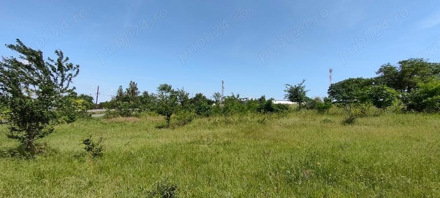 Teren de 925 mp, în Berceni