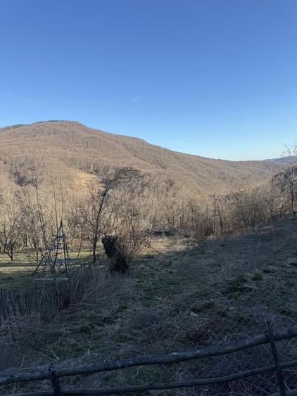 Teren de 1780 mp, în Valea Doftanei
