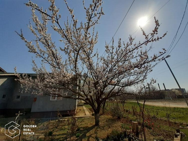 Duplex parter, cu gradina si mini livada - 10