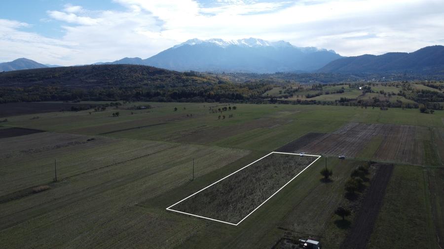 Teren Construcții intravilan de 1690 mp, în Central