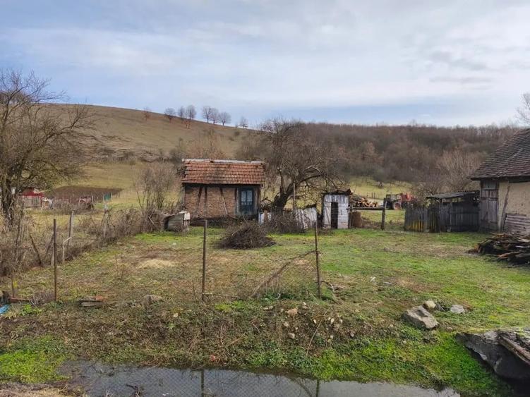 Teren de 6000 mp, în Julița