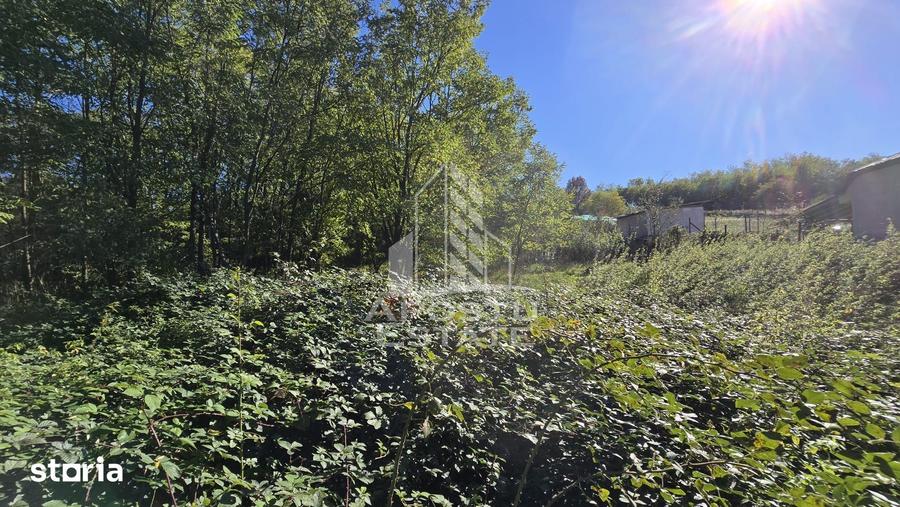 Teren de 3260 mp, în Buteni